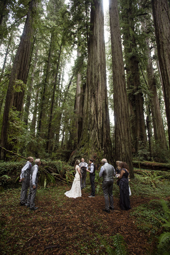 Ceremony, Dress, Forest, Intimate, Jedediah, Rain, Redwoods