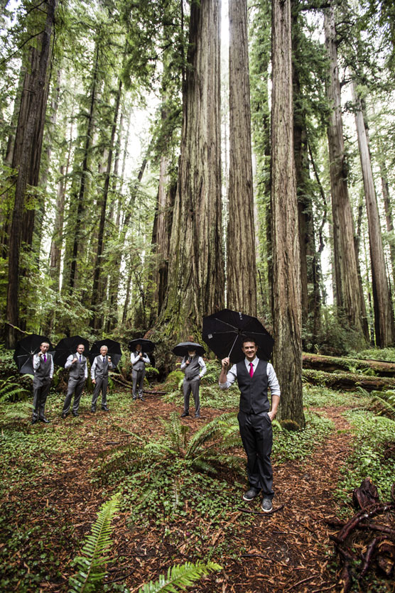 Jedediah_Smith_Redwoods_wedding_photography-0009