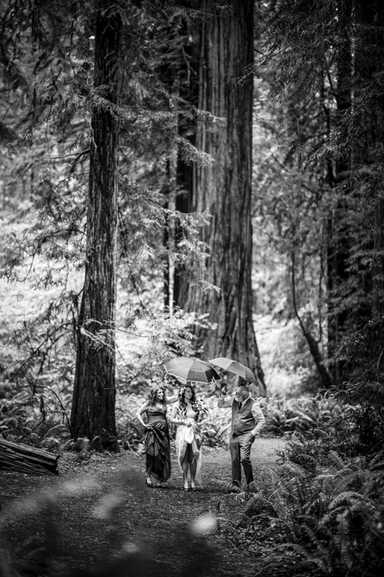 Forest, Formals, Intimate, Jedediah, Pre-Ceremony, Rain, Redwoods