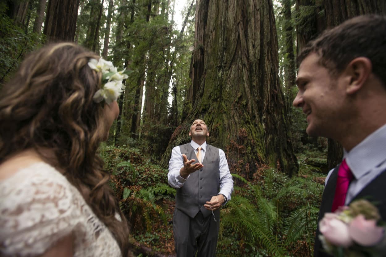 Borrowed and Blue, Ceremony, Forest, Intimate, Jedediah, Rain, Redwoods