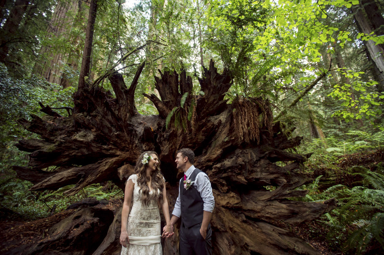 Borrowed and Blue, Bride and Groom, Bride and Groom Portrait, Dennis Portfolio, Forest, Jedediah, PDN, Redwoods