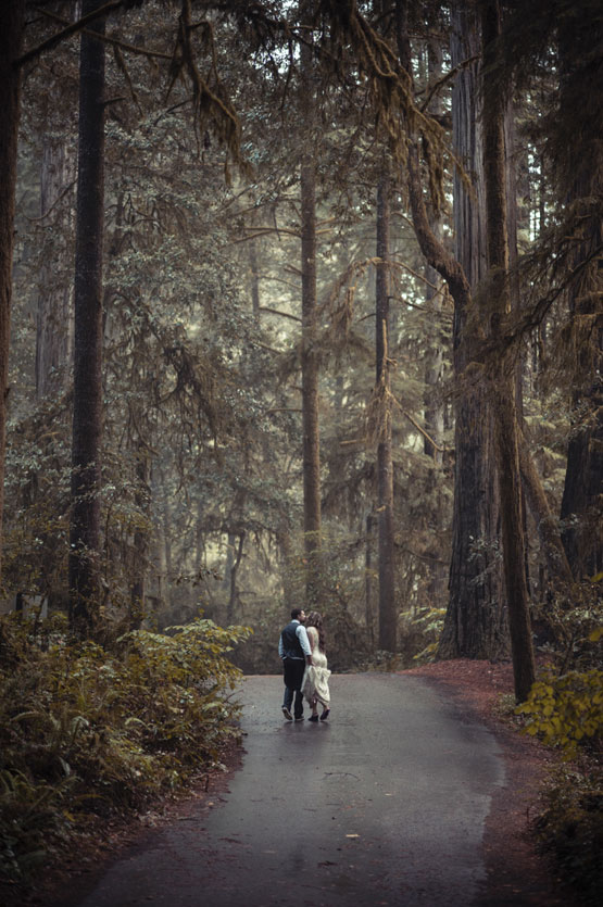 Bride and Groom, Bride and Groom Portrait, Forest, Jedediah, Redwoods