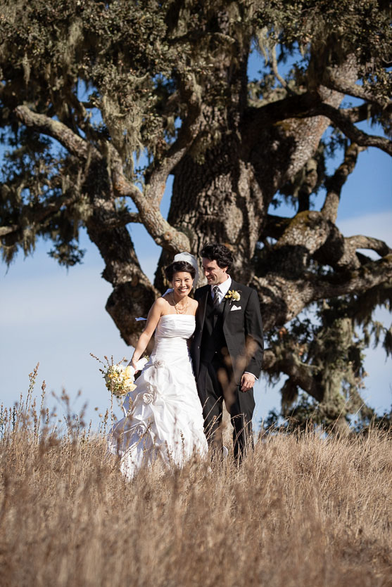 redwood-forest-wedding-santa-lucia-preserve-carmel-wedding024
