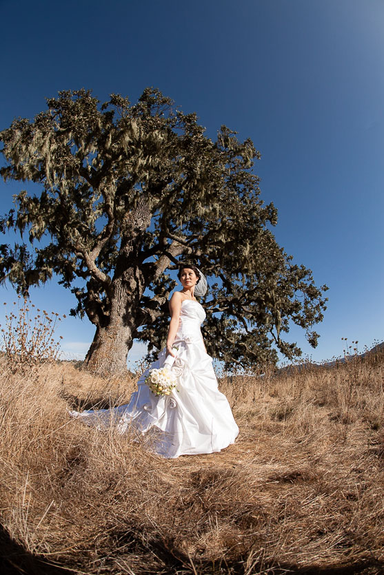 redwood-forest-wedding-santa-lucia-preserve-carmel-wedding026