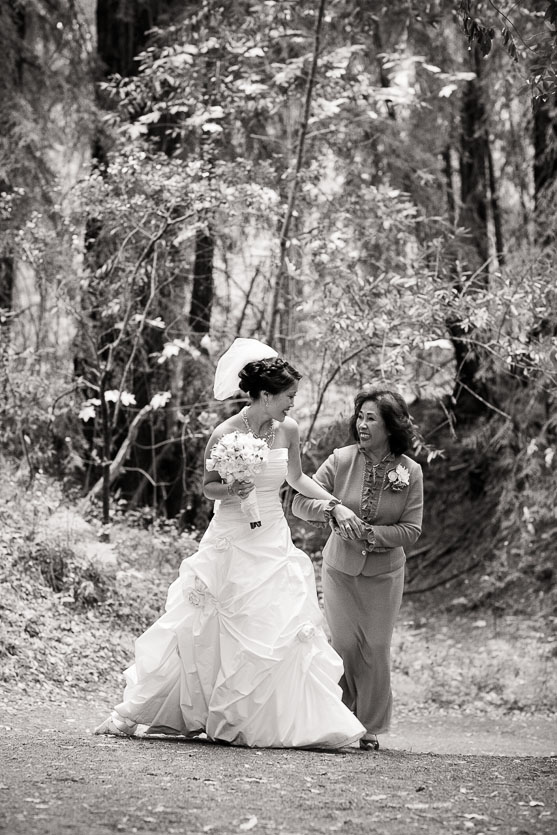 redwood-forest-wedding-santa-lucia-preserve-carmel-wedding038