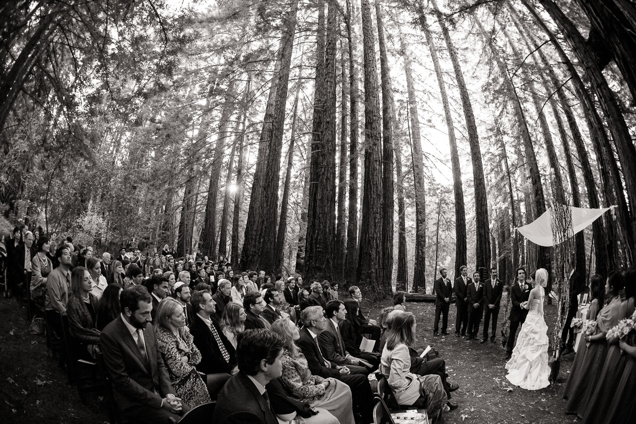 redwood-forest-wedding-santa-lucia-preserve-carmel-wedding047