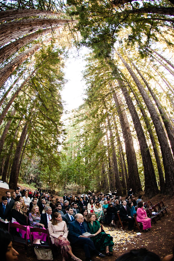 redwood-forest-wedding-santa-lucia-preserve-carmel-wedding051