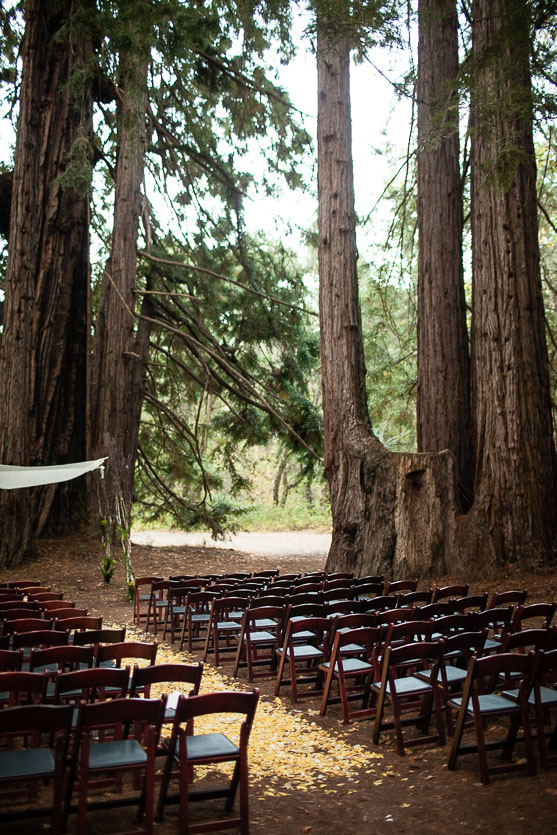 redwood-forest-wedding-santa-lucia-preserve-carmel-wedding056