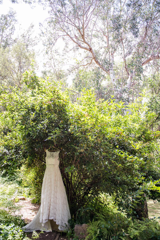 sequoia-national-park-wedding-photography-alice-and-tim-new-zealand-6